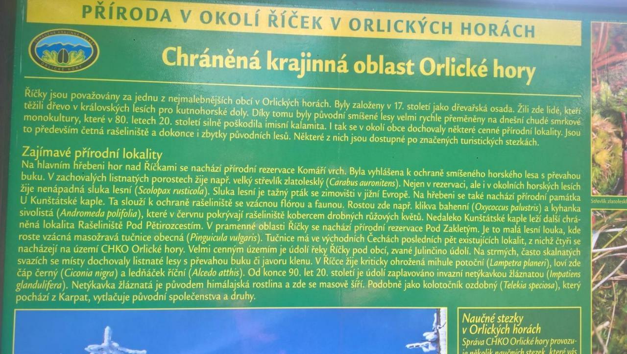 Apartmán Nad terasou Říčky Exterior foto