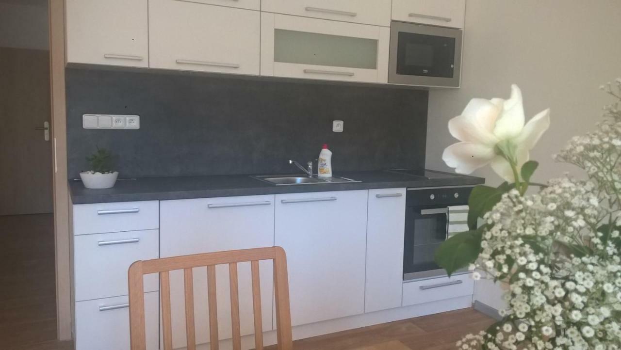 Apartmán Nad terasou Říčky Exterior foto